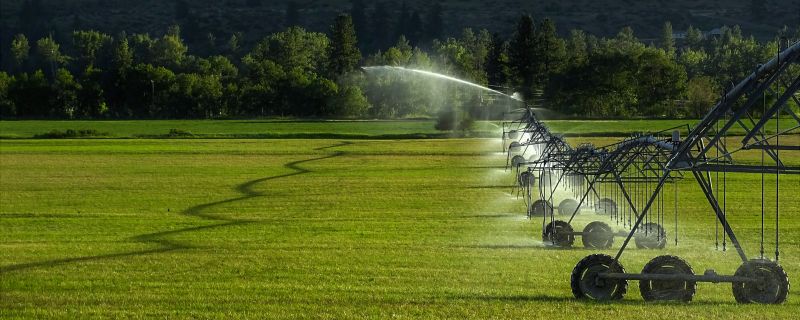 Irrigation System Replacement in Aiken, SC