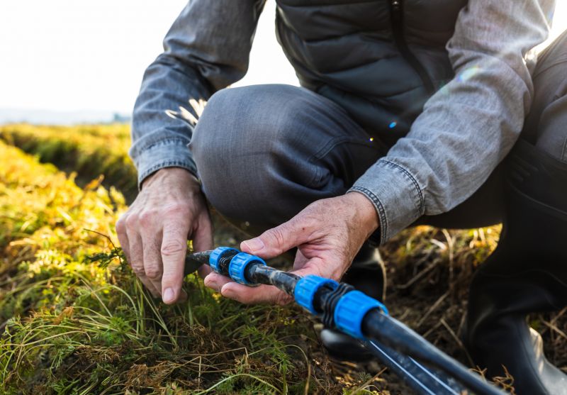Sprinkler Repair in Aiken, SC