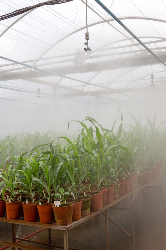Watering System Installation in Ventura County, CA