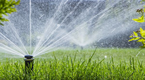 Yard Sprinkler System Installation