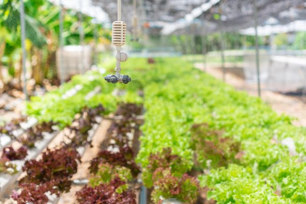 Grow your Sprinkler Mist Installation business