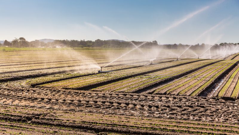 Crop Irrigation Installation in Honolulu, HI