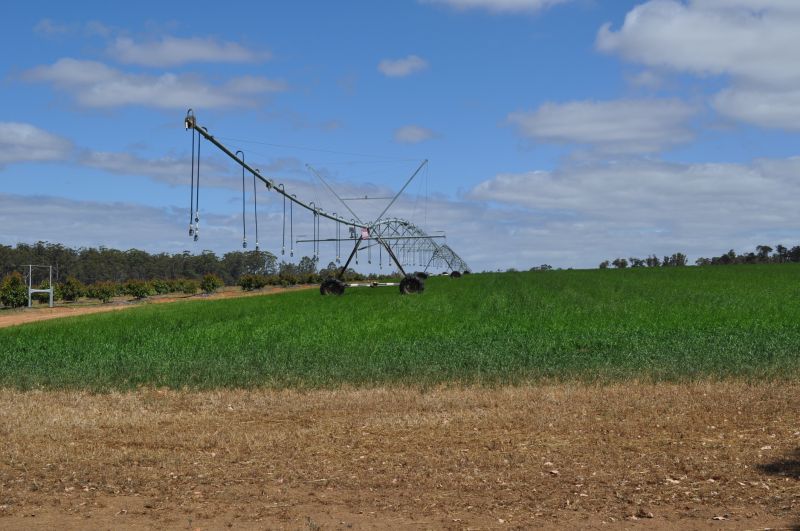 Field Irrigation Installation in Ventura County, CA