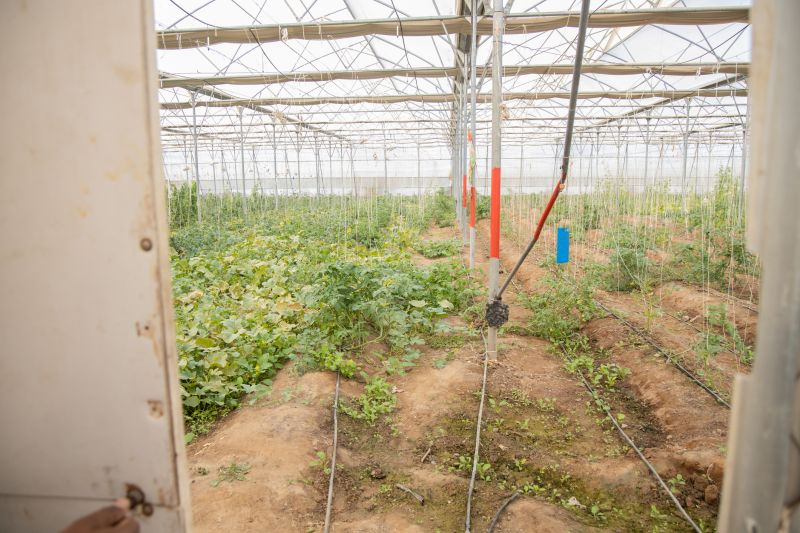 Field Irrigation Installation in Ventura County, CA