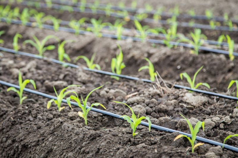 Inground Irrigation Service in Aiken, SC