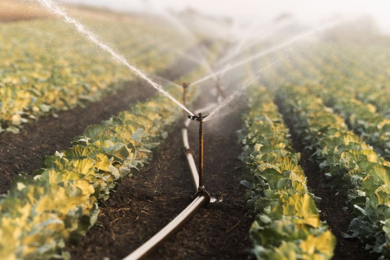 Irrigation Installation in Honolulu, HI