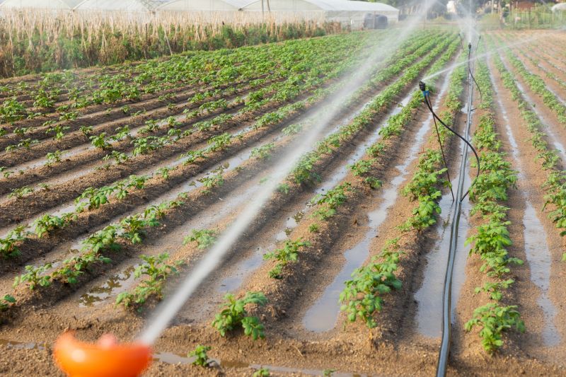 Irrigation System Replacement in Ventura County, CA