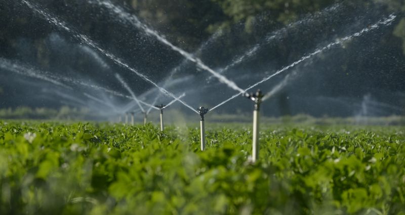 Lawn Irrigation Installation in Ventura County, CA