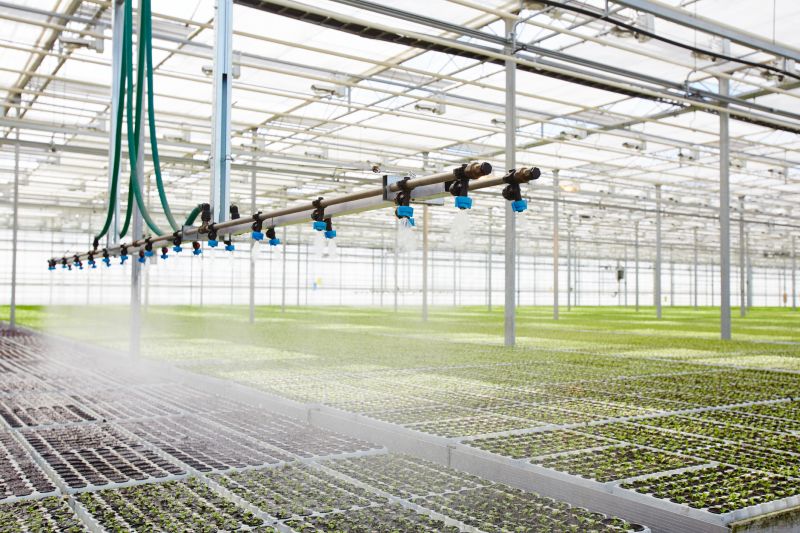 Mist Irrigation Installation in Aiken, SC