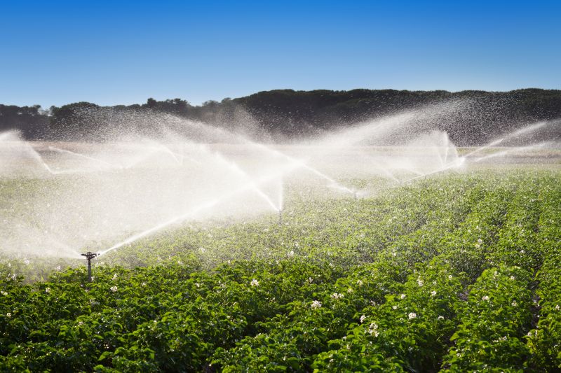 Plant Irrigation Installation in Ventura County, CA