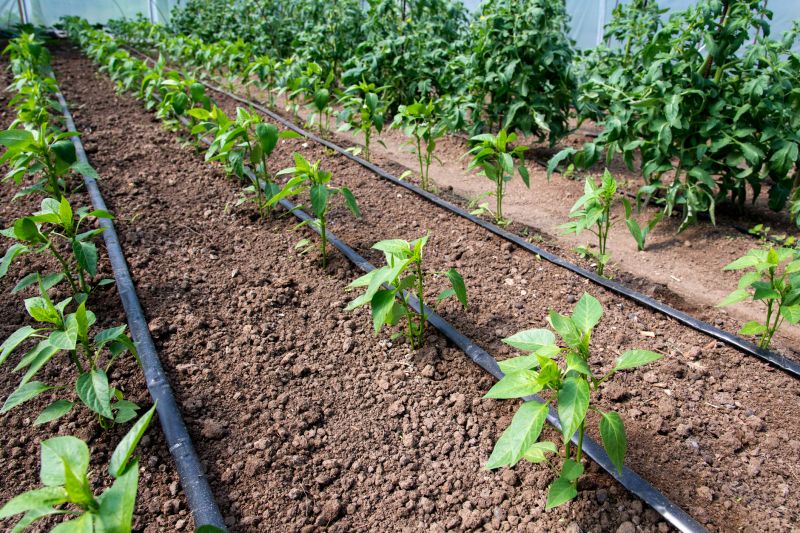 Plant Irrigation Installation in Aiken, SC
