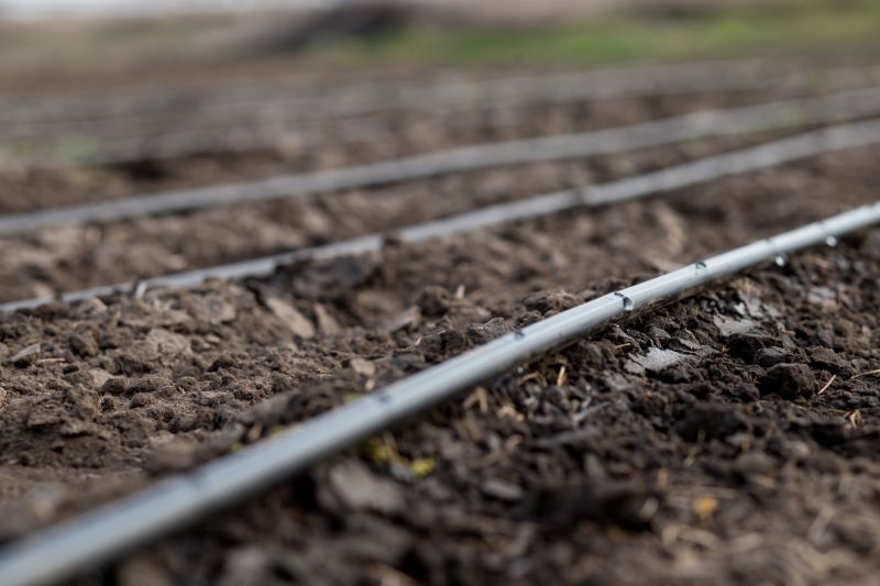 Plant Irrigation Installation in Aiken, SC