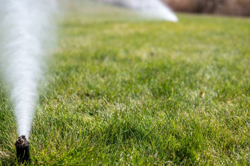 Sprinkler Blowout Service in Honolulu, HI