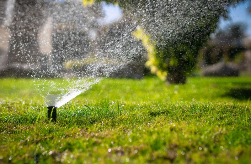 Sprinkler Line Replacement in Honolulu, HI