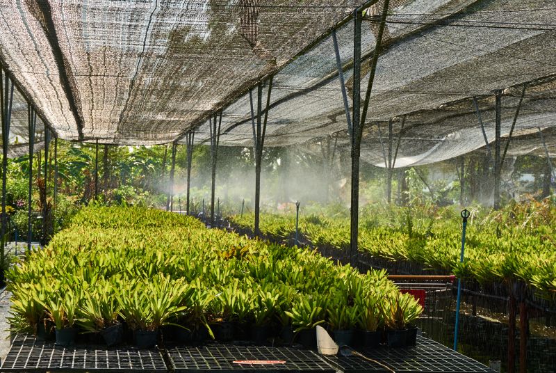 Mist System in Garden