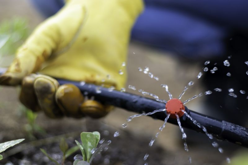 Sprinkler Valve Replacement in Aiken, SC