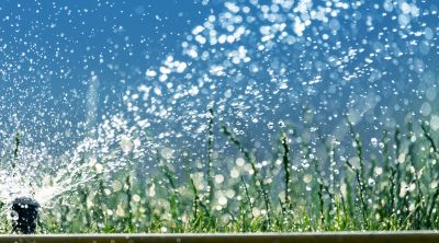Sprinkler Winterization in Honolulu, HI