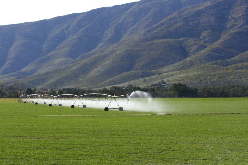 Underground Irrigation Service in Honolulu, HI