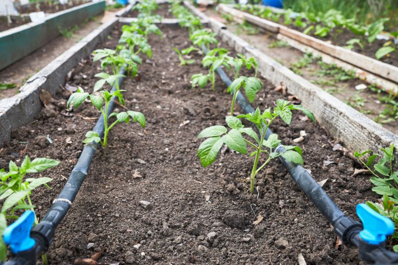 Watering System Installation in Aiken, SC